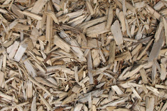 biomass boilers Hollybush
